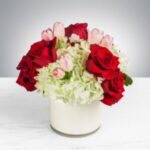 Blossoming Romance