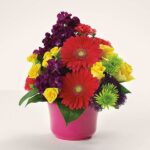 Colorful flower arrangement in a pink pot.