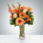 Bright orange flowers in a clear glass vase on a white surface.