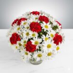 Daisy Crazy by arrangement