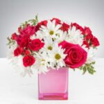 A vibrant bouquet of red roses and white daisies in a pink vase.