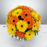 Dazzling Daisy Flower Bowl