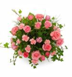 Fairy Tale Pinks Flower - Image 2