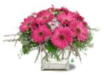 Bright pink daisies arranged in a glass vase with greenery.