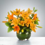 Lily Love Flower