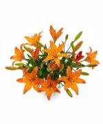 Lovely Lilies Flower Arrangement