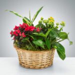 A basket filled with vibrant red and yellow flowers and green foliage.