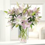 A beautiful bouquet of pink lilies in a clear glass vase.