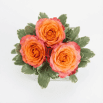 Petite Sunset Arrangement