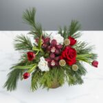Pine-nata-