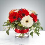 Elegant bouquet of red and white gerbera daisies in a glass vase.