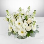 Purity Arrangement