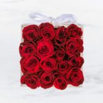 A bouquet of vibrant red roses wrapped in clear plastic.