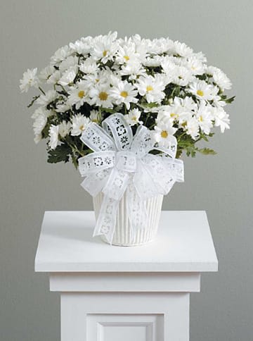 A bouquet of white daisies with a decorative white bow on a small white table.