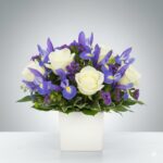 A lush floral arrangement featuring creamy white roses and vibrant purple irises, accented with small purple statice flowers and green foliage, presented in a minimalist square white ceramic vase against a clean gray gradient background.