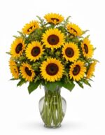 A vibrant and full bouquet of bright yellow sunflowers with dark brown centers, arranged in a clear glass vase against a solid white background.