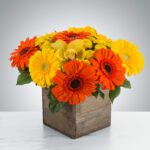 Bright orange and yellow gerbera daisies in a rustic wooden cube vase.