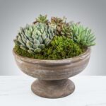 A rustic bowl filled with various succulent plants.