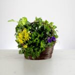 A basket filled with various green plants and flowers.
