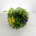 Thinking of You Flower Basket