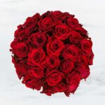 A bouquet of vibrant red roses.