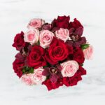 A bouquet of red and pink roses on a white background.