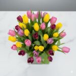 Tulip-Mania..