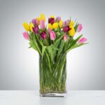 Vibrant tulips in a clear glass vase.
