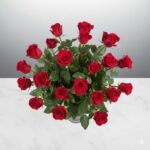Two-Dozen-Long-Stemmed-Roses