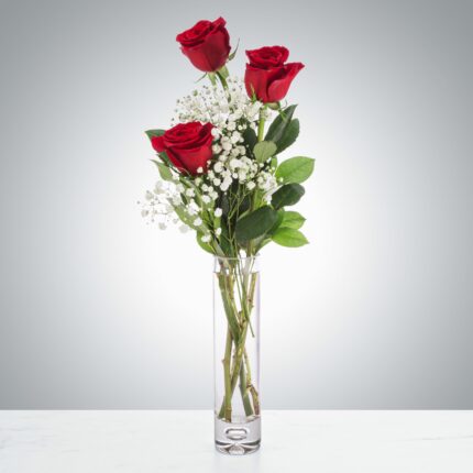 A bouquet of red roses with greenery in a clear glass vase.