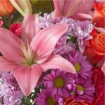 A vibrant and colorful close-up of a floral bouquet featuring large pink lilies, purple and lavender chrysanthemums, and bright orange roses.