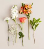 A flat-lay arrangement of various flowers and greenery including a peach rose, orange alstroemeria, white stock, white carnation, baby's breath, and variegated green foliage, all laid out on a neutral cream background.