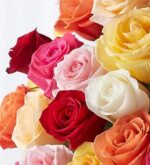 A vibrant and dense bouquet of assorted premium long-stem roses in various colors including red, pink, yellow, orange, and white.