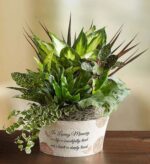 A lush memorial dish garden featuring various green indoor plants in a white decorative ceramic pot with a sympathy inscription, set on a wooden surface.