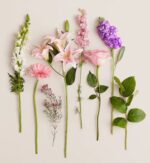 A flat lay composition of various fresh flowers and stems arranged vertically against a neutral beige background, featuring pink lilies, roses, gerbera daisies, and purple stock.