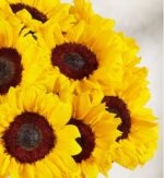 A vibrant, close-up shot of a cluster of bright yellow sunflowers with dark brown centers, arranged in a dense bouquet against a soft, neutral background.
