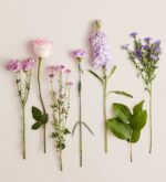 A minimalist flat lay arrangement of individual flowers and green leaves with long stems, featuring shades of pink, lavender, and purple against a cream-colored background.