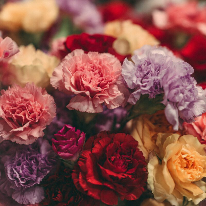 Flower Gift Giving by Relationship Stage