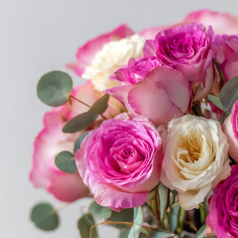 Flower Profiles