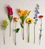 Seven individual flower stems of various types and colors (yellow, pink, orange, blue, and red) arranged vertically in a row against a neutral, light-colored background.
