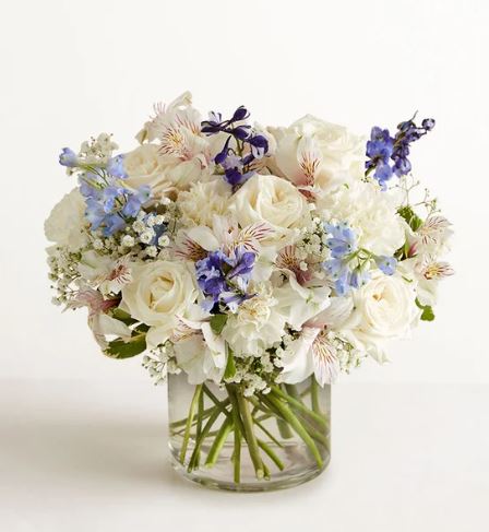 A premium floral arrangement in a clear glass cylinder vase, featuring white roses, white alstroemeria with purple accents, light blue delphiniums, and delicate baby's breath.