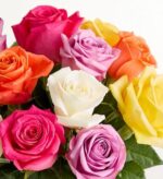 A vibrant bouquet of one dozen assorted roses featuring a variety of colors including deep pink, light purple, bright orange, pure white, and sunny yellow.