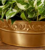 A close-up shot of a lush green Pothos plant with variegated white and green leaves, housed in a decorative, embossed metallic gold oval planter resting on a dark wooden surface.