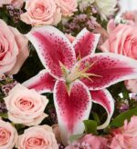A close-up photograph of a floral arrangement featuring a prominent pink and white Stargazer lily surrounded by soft pink roses, small purple waxflowers, and green foliage.