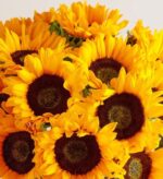 A vibrant close-up arrangement of several bright yellow sunflowers with dark brown centers, tightly packed together.