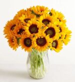 A lush and vibrant bouquet of many bright yellow sunflowers with dark brown centers, tightly arranged in a clear, fluted glass vase against a white background.