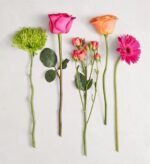 Five distinct vibrant flowers including a green chrysanthemum, pink rose, orange rose, spray roses, and a pink gerbera daisy, arranged vertically against a light gray background.