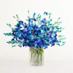 Ocean Breeze Orchids Flower Bouquet with blue and white orchids - Reema Florist Nashville TN